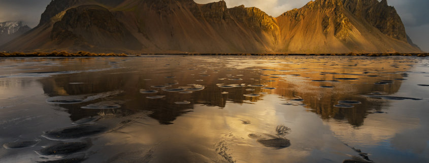 Cover for nature photography blog about classifying your images by Varina Patel