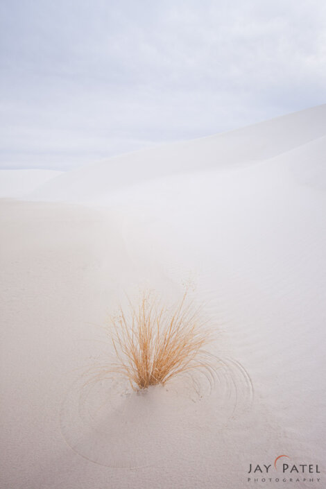 White Sands, New Mexico