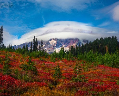 Fall Foliage Photography from Mt. Rainier National Park, Washington by Kevin McNeal