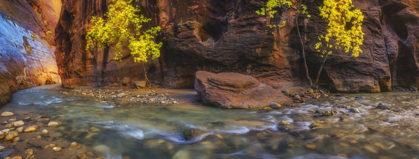 Landscape photography using live view mode from Zion Narrows by Peter Coskun