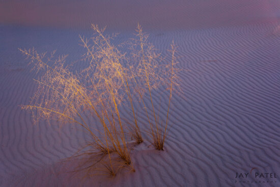 Simplified scene with a wide angle lens at White Sands National Park, New Mexico (NM) by Jay Patel