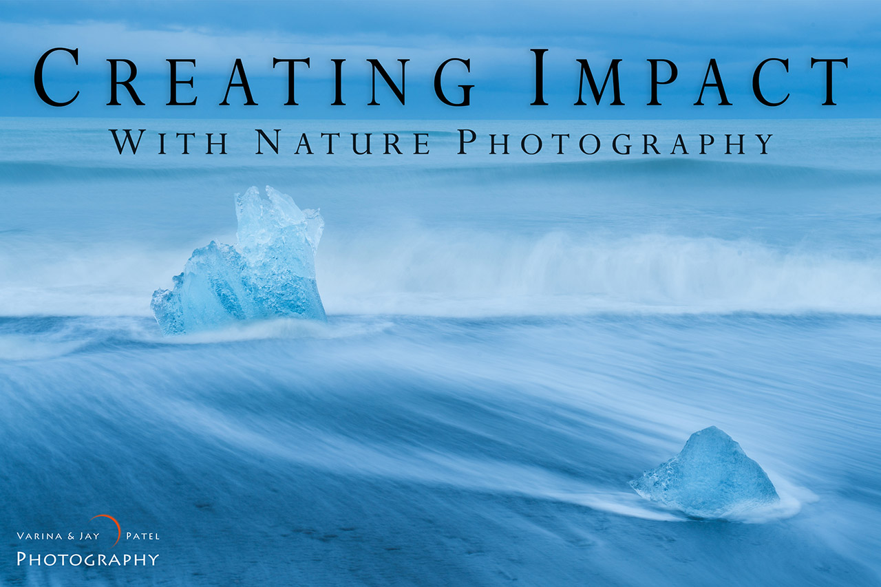 Cover for Nature Photography Tutorial about Composition