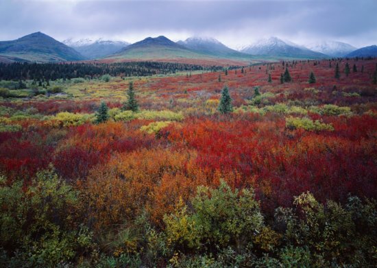 National Parks Photography by QT Loung