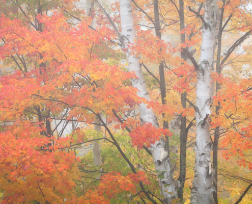 Fall Photography Blog Post by Landscape Photographer Sarah Marino