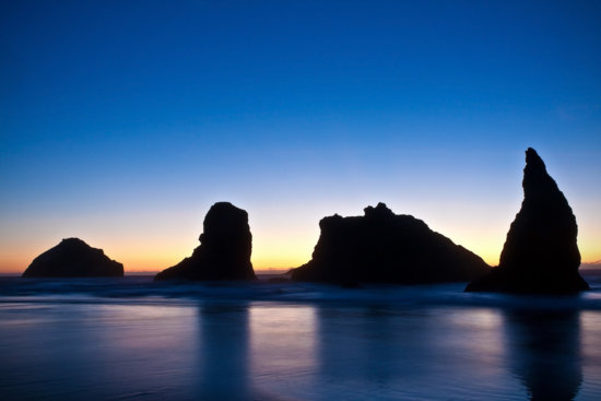 Bandon State Natural Area, Oregon by Anne McKinnell