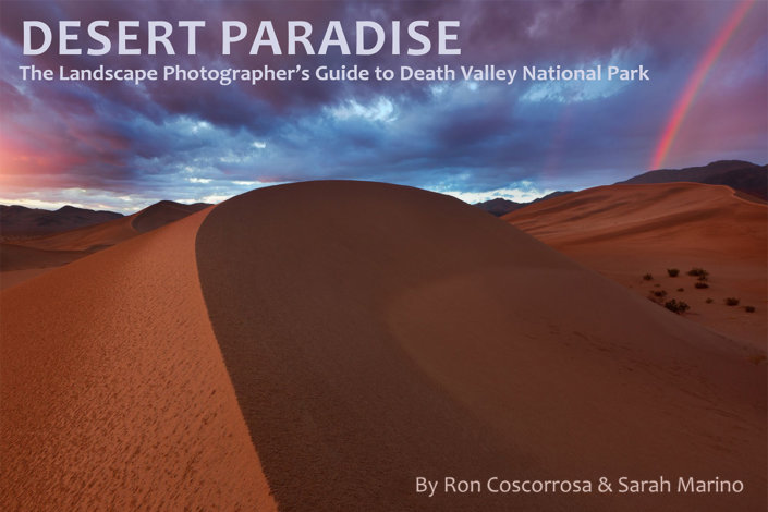 Desert Paradise Cover 3×2