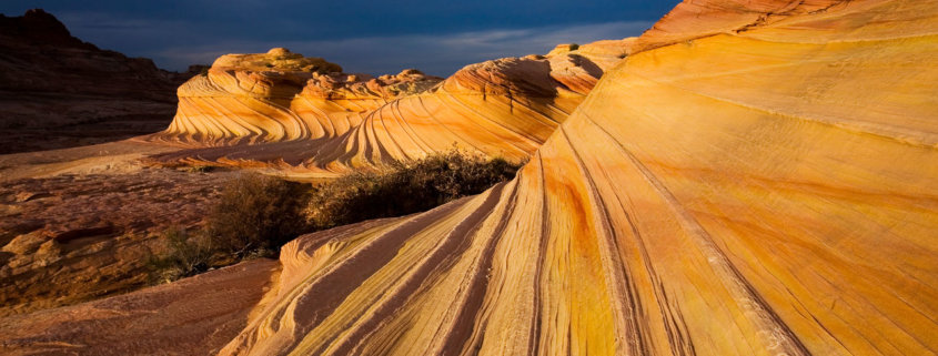 Landscape photography from The Wave at Vermillion Cliffs, Arizona by Jay Patel