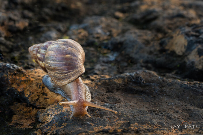 Makena Bay, Maui, Hawaii (HI), USA