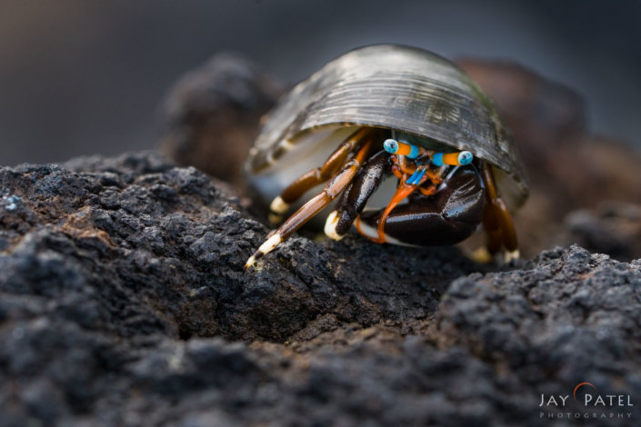 Makena Bay, Maui, Hawaii (HI), USA