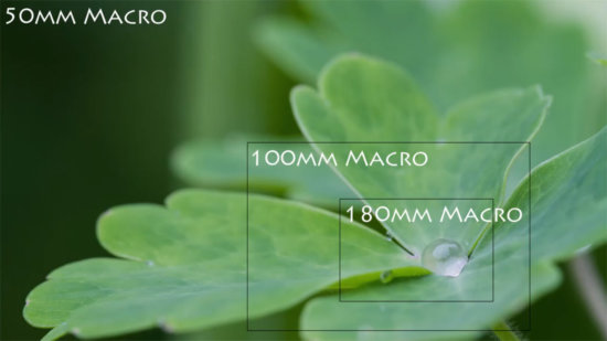 Macro Photography Lens field of view at different focal length.