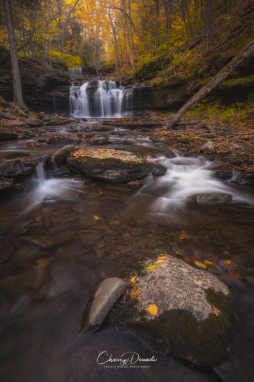 Nature and Landscape Photography by Chrissy Donadi