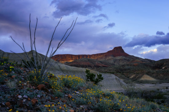 Big Bend Ranch State Park, Texas by Anne McKinnell