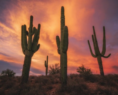 Cover photo for landscape photography blog article about autofocus and manual focus setting by Peter Coskun.