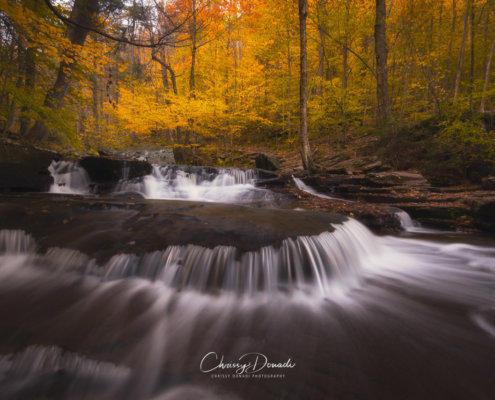 Fall Photography: 3 Simple Post Processing Tips for Autumn Colors Blog Post by Chrissy Donadi