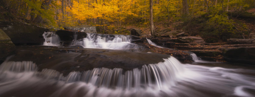 Fall Photography: 3 Simple Post Processing Tips for Autumn Colors Blog Post by Chrissy Donadi