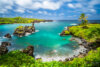 Wainapanapa State Park, Maui, Hawaii (USA)