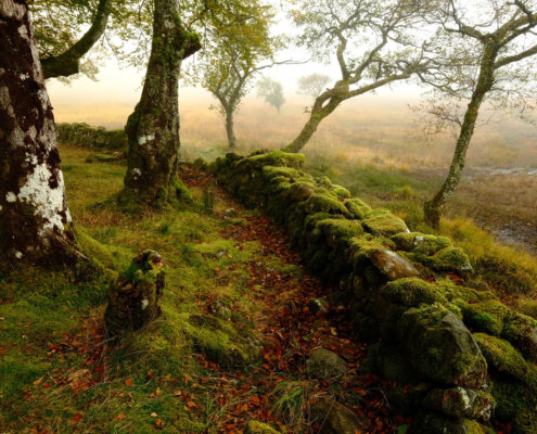 Near Kilchurn Castle, Loch Awe, Scotland