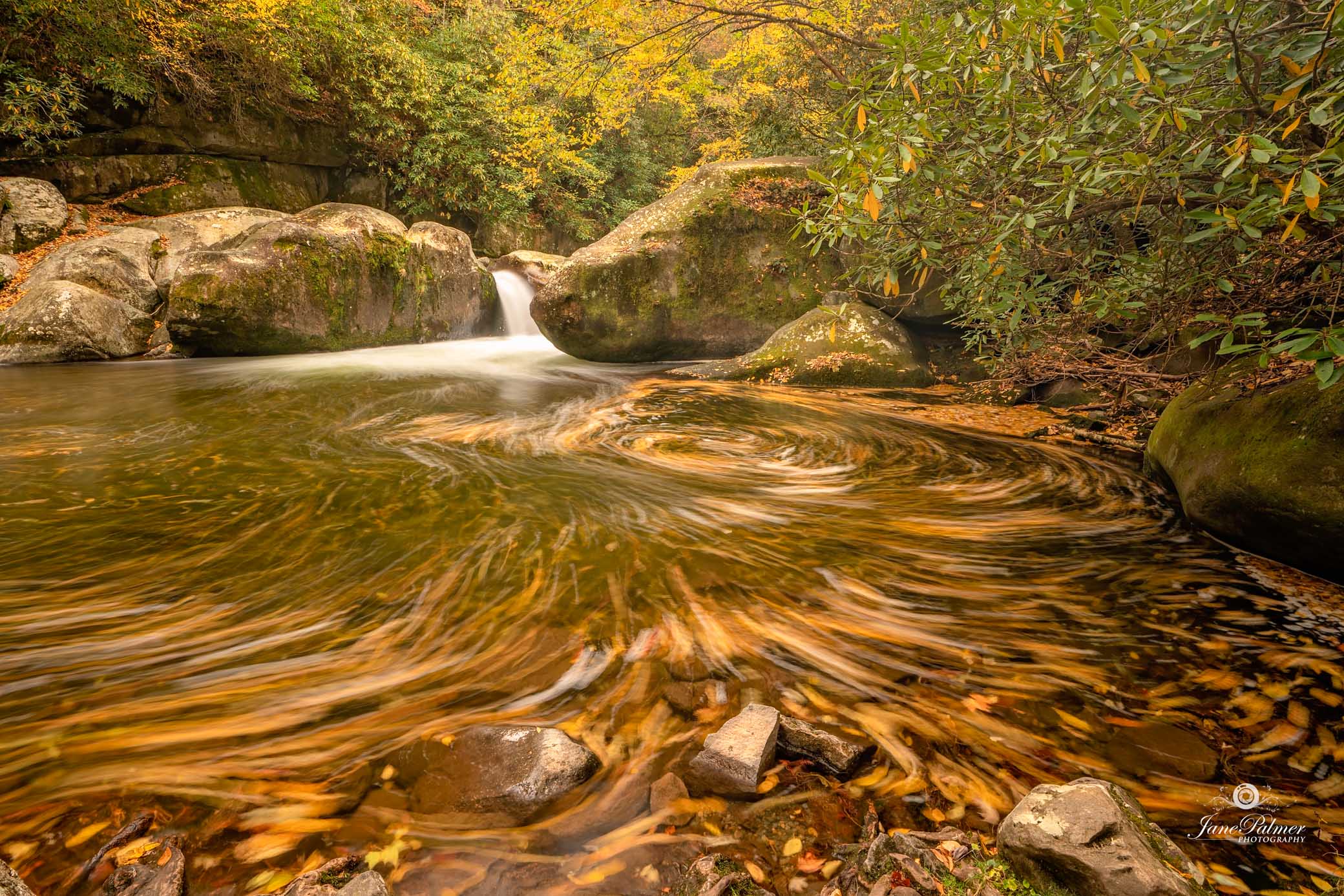 Landscape photography from Great Smoky Mountains by Jane Palmer