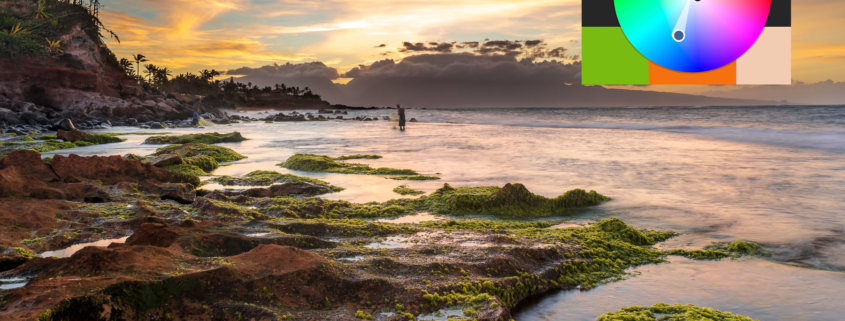 How to use colors in Nature Photography Blog Post by Francesco Carucci