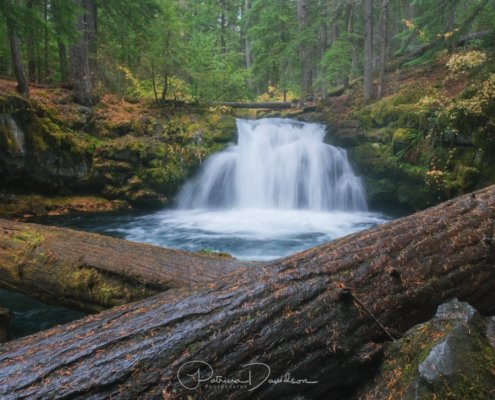 6 Variables that Impact Colors in Landscape Photography Blog Post by Patricia Davidson