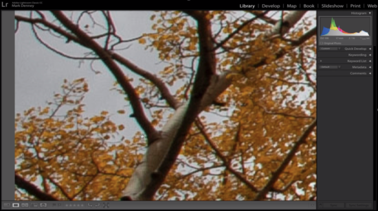 Chromatic Aberration Example in Lightroom