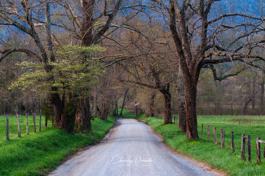 Feature image for landscape photography blog about Art of Seeing by Chrissy Donadi