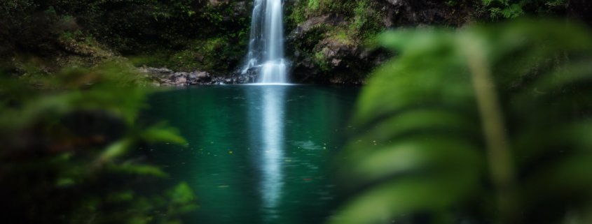 Cover for Landscape Photography blog about Shallow DOF by Jaclyn Tanemua