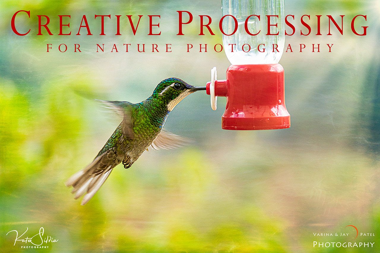 Creative Processing for Nature Photography Tutorial Cover