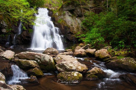 Waterfall photography in Great Smoky Mountains National Park by Chrissy Donadi