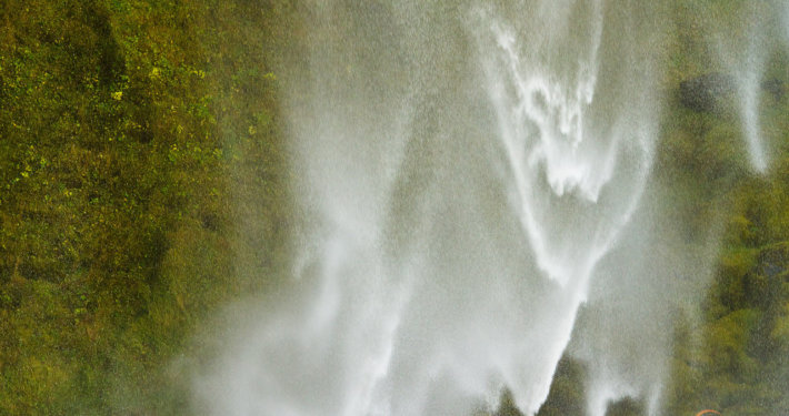 Cover for nature photography composition blog post by Jay Patel