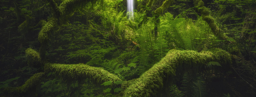 Cover for iconic landscape photography location blog post by Peter Coskun.