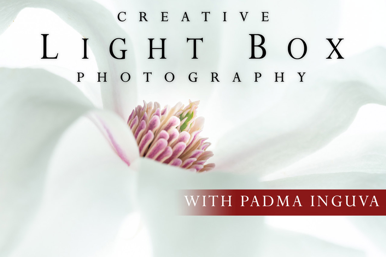 Creative Light Box Photography Class Visual Wilderness