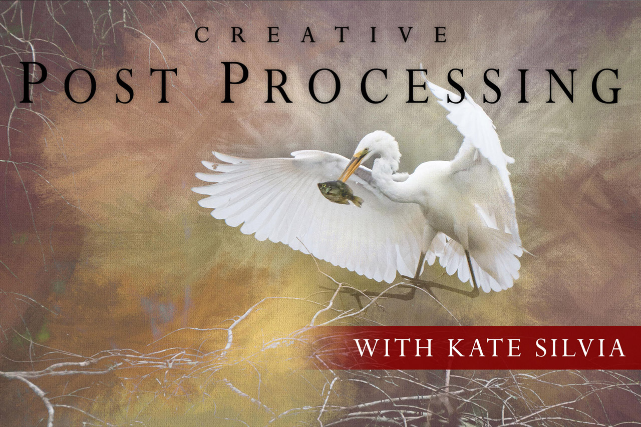 Creative Post Processing Online Class