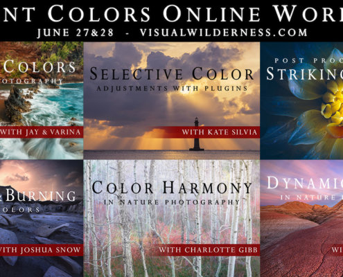 Cover for Online Vibrant Colors Workshop on Visual Wilderness