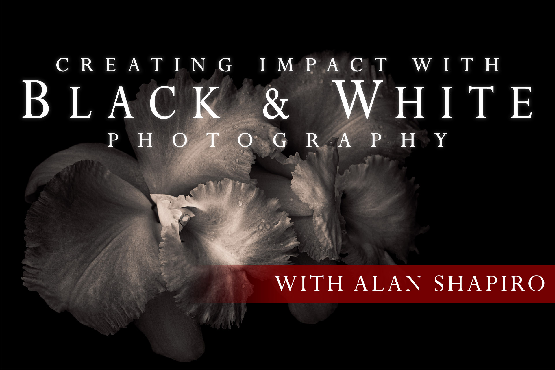 Creating Impact with Black and White Photography with Alan Shapiro