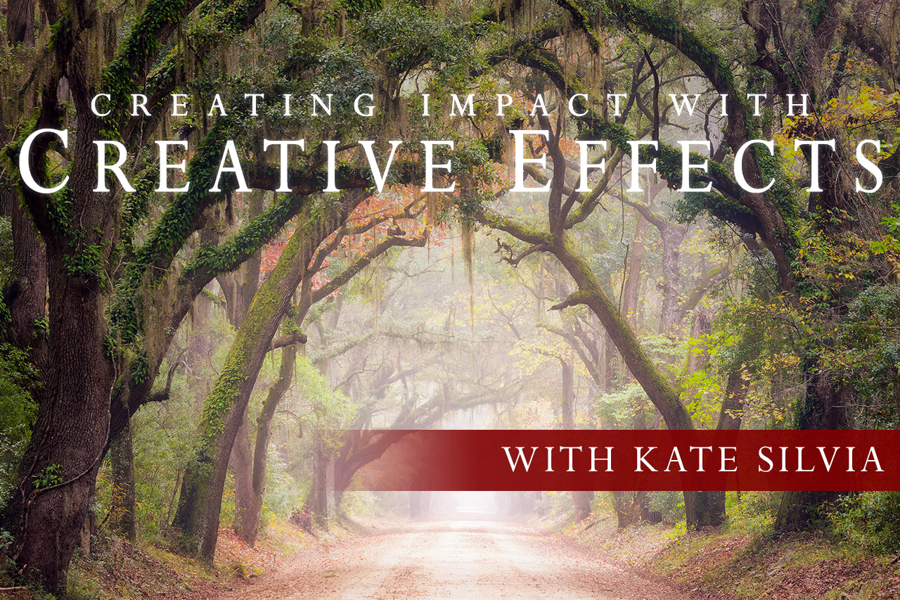 Creating Impact with Creative Effects Webinar with Kate Silvia