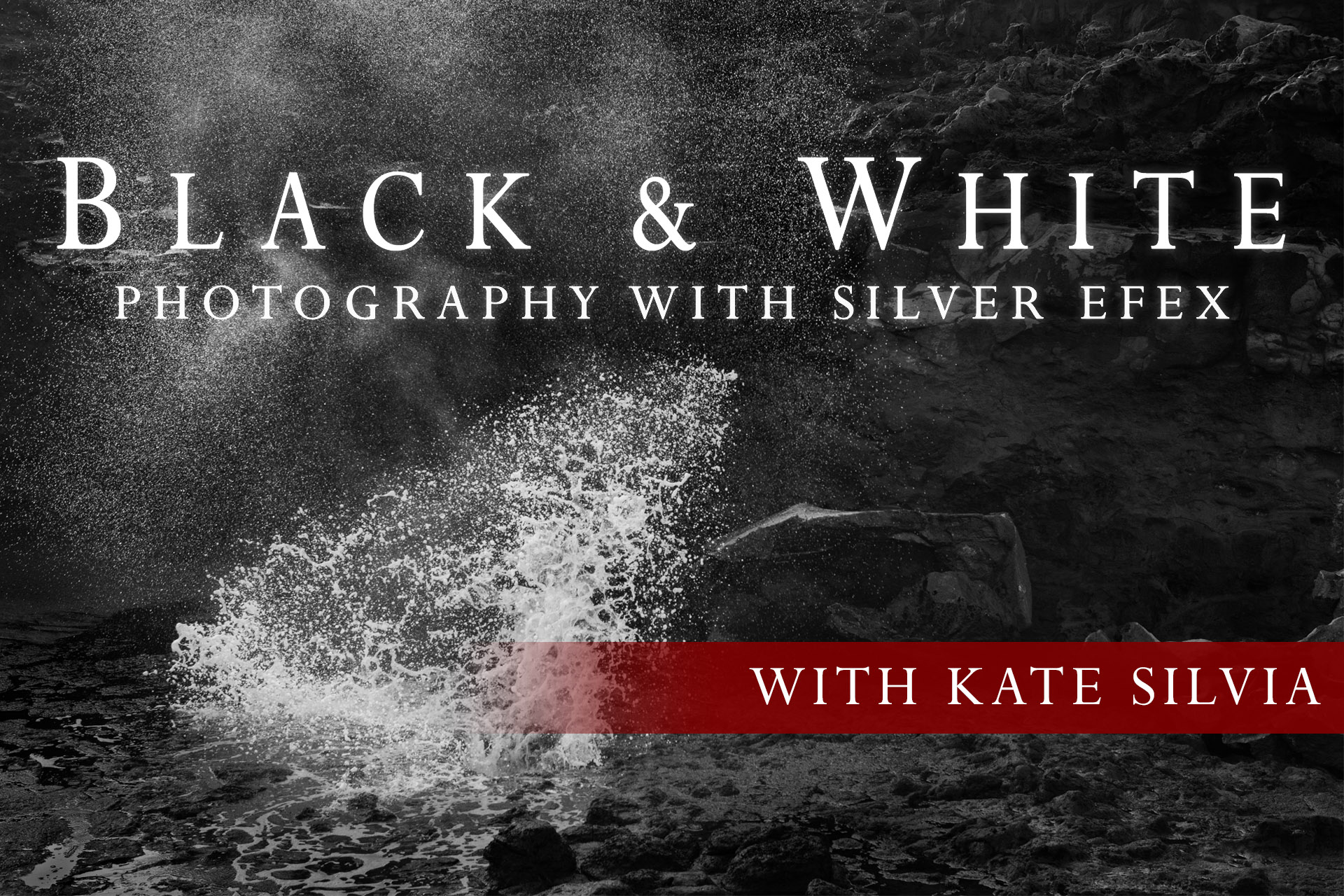 Black & White Photography with Silver Efex Masterclass cover page by Kate Silvia