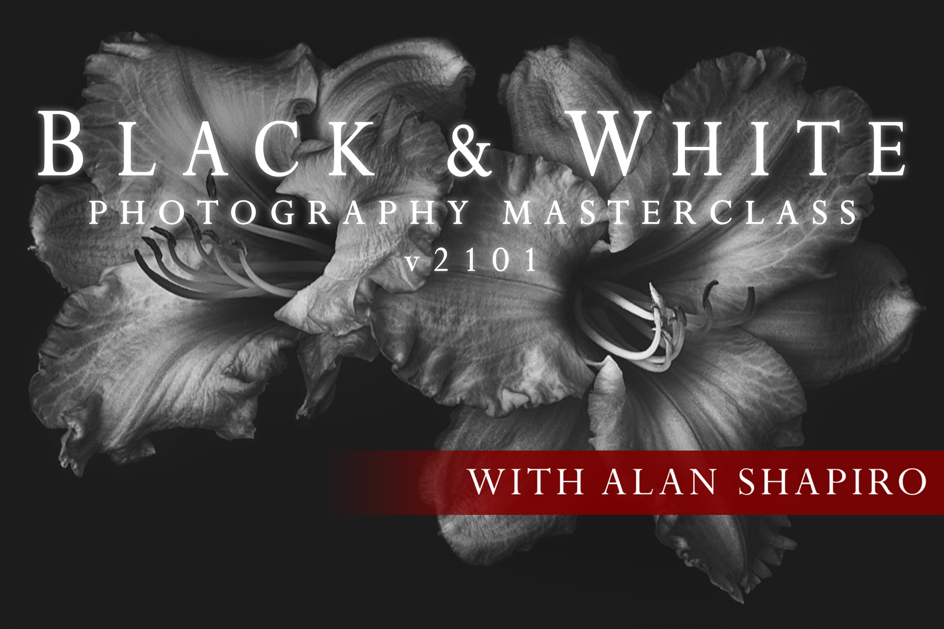 Black & White Photography in Masterclass cover page by Alan Shapiro