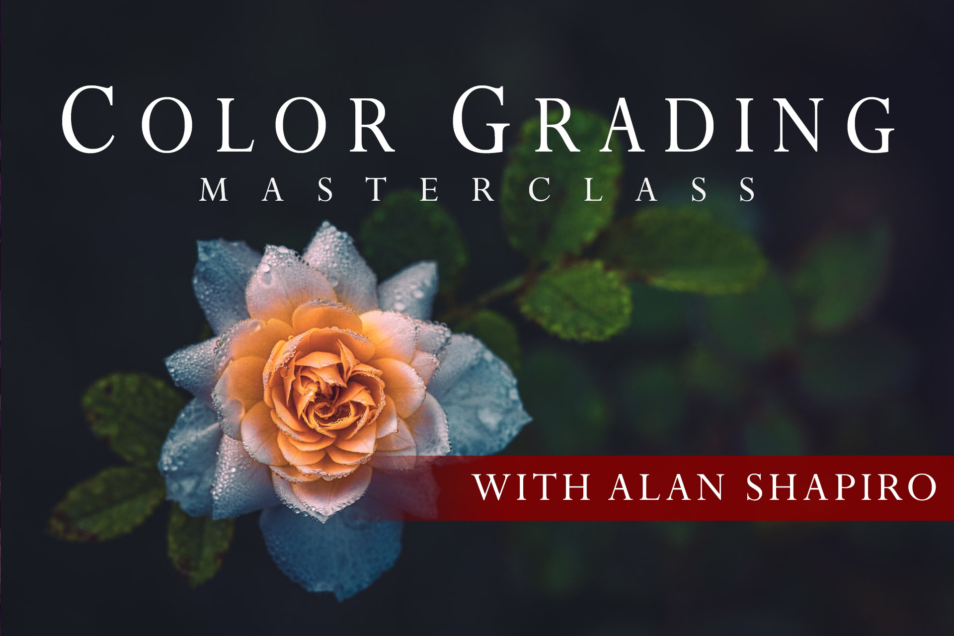 Color Grading in Lightroom Masterclass cover page by Alan Shapiro