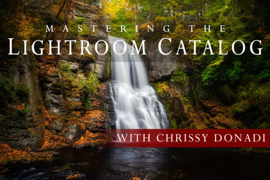 Cover for Mastering the Lightroom Catalog Online Class