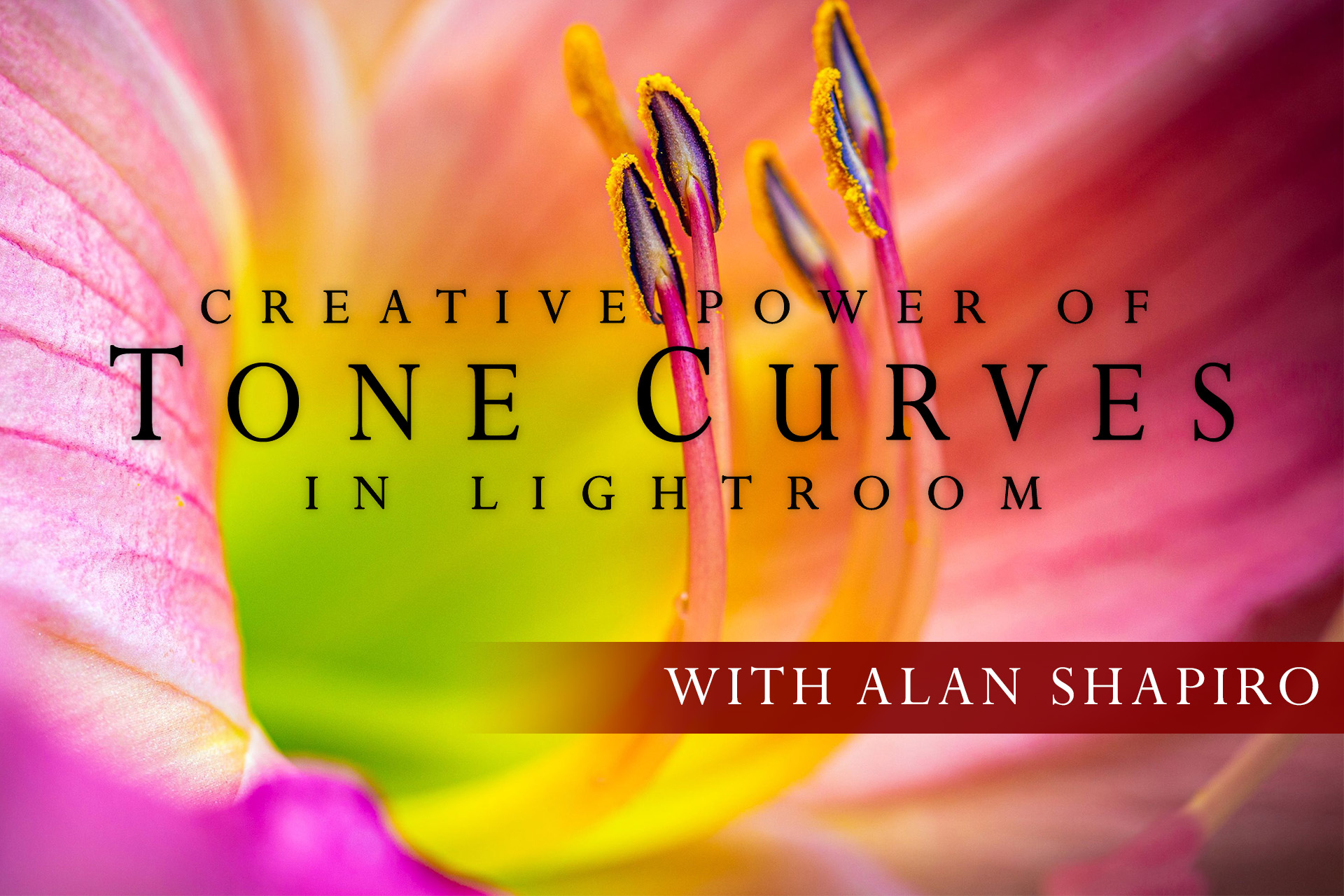 Cover for Creative Power of Tone Curves in Lightroom Online Class