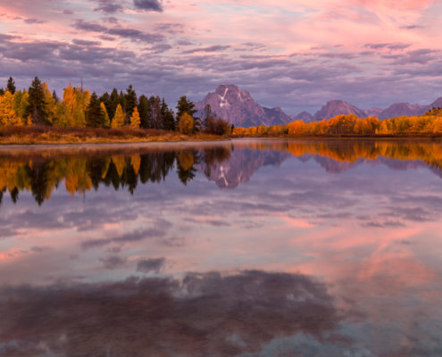 Cover for nature photography blog about post processing by Padma Inguva