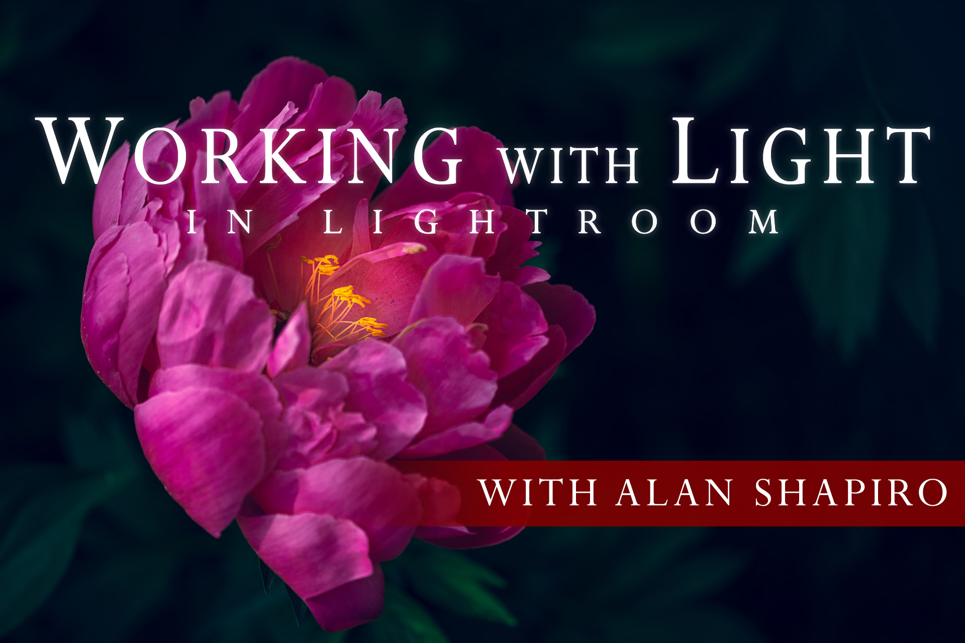 Cover for Working with Light in Lightroom Online Class by Alan Shapiro