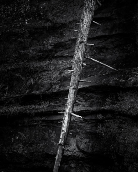 Fallen tree trunk case study of Black and White Nature Photography at Old Man's Cave trail, Hocking Hills, Ohio by Craig McCord Fallen tree trunk case study of Black and White Nature Photography at Old Man's Cave trail, Hocking Hills, Ohio by Craig McCord