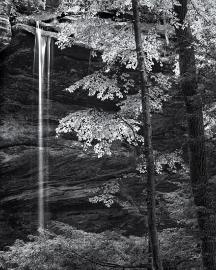 Morning light provided a back light glow to Sweet birch trees framing Ash Cave Falls, Ohio by Craig McCord Morning light provided a back light glow to Sweet birch trees framing Ash Cave Falls, Ohio by Craig McCord